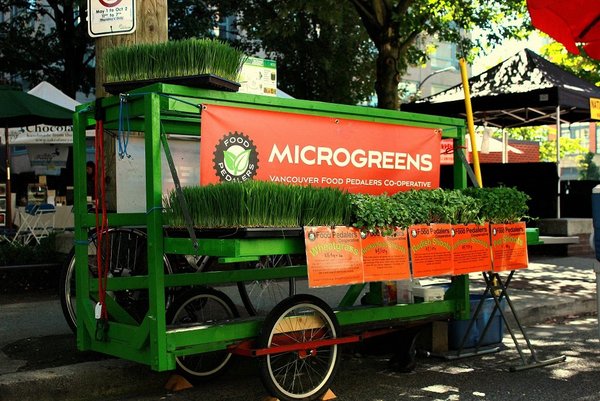 Organic Food Delivery Kitchener Waterloo Organic Food Delivery Kitchener Waterloo
