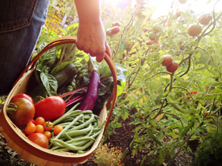 Jobs in healthy, local food