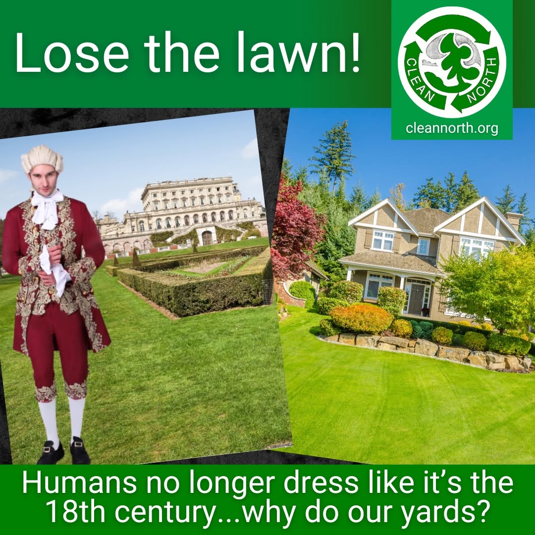 Alternatives to lawns