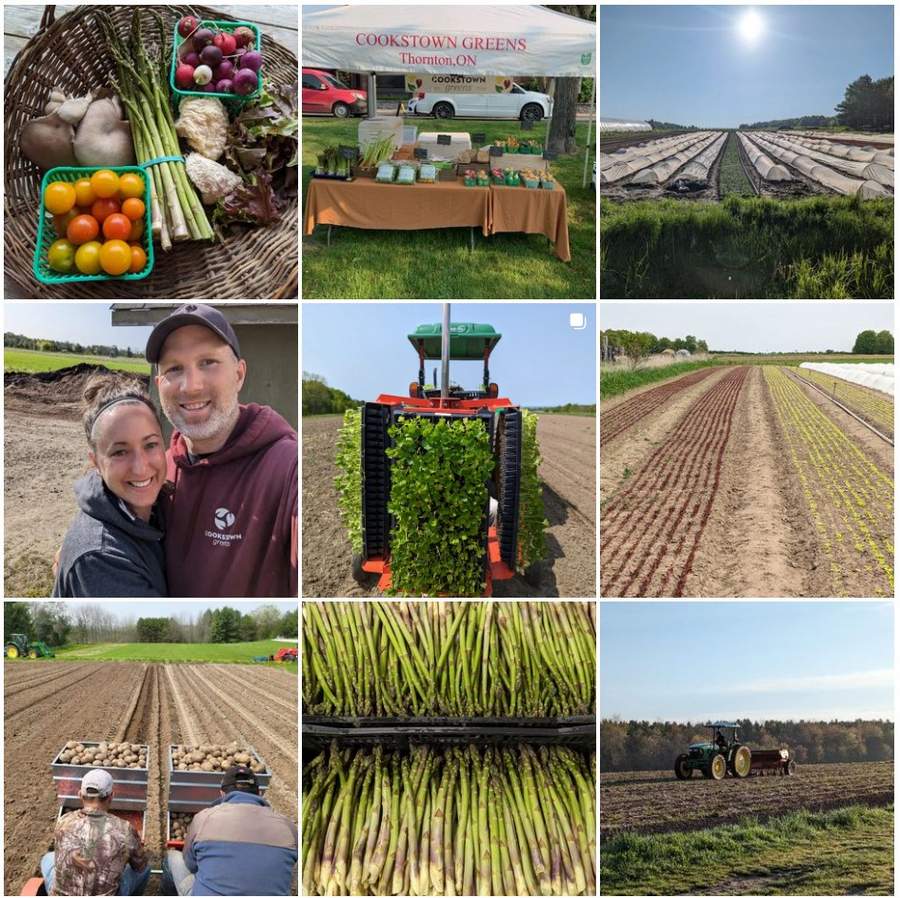 Local Food Jobs FoodWork.ca