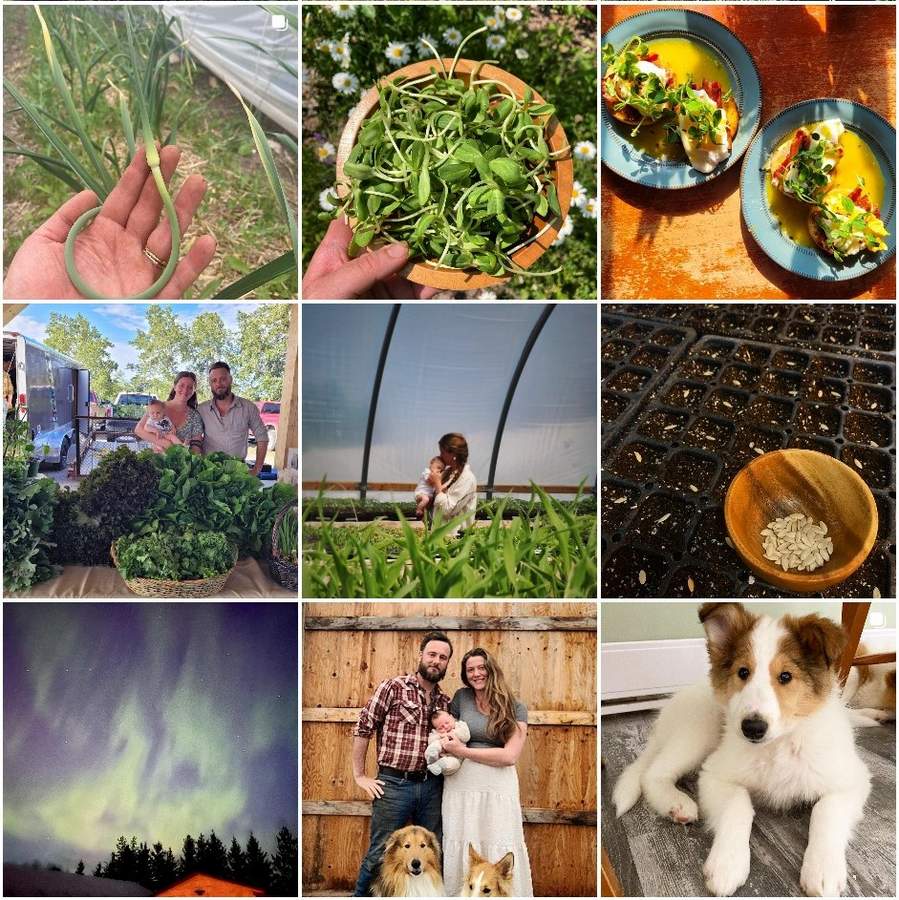 Organic vegetable farming and gardening, Northern Ontario outdoor jobs